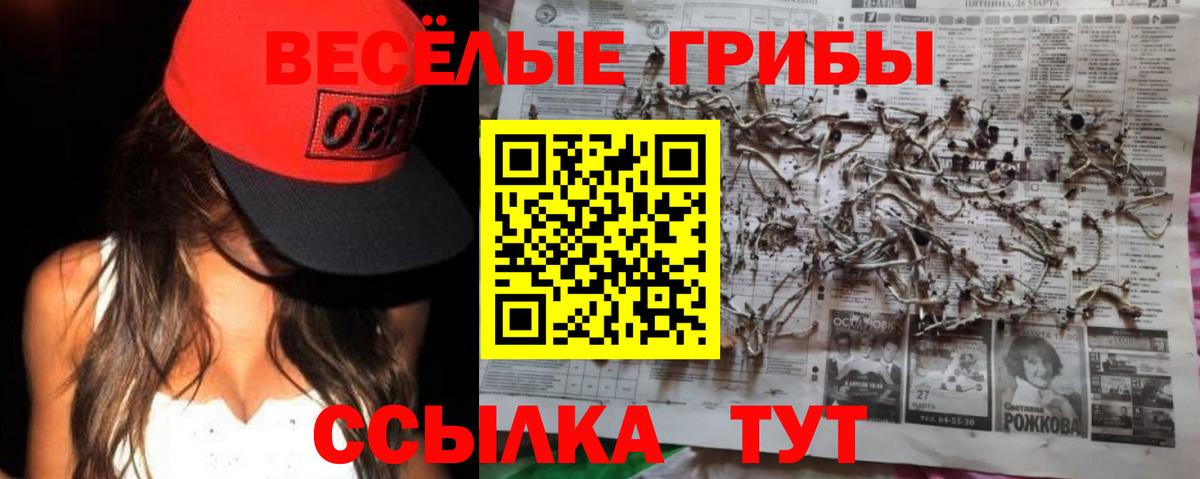 Галлюциногенные грибы мухоморы Нововоронеж
