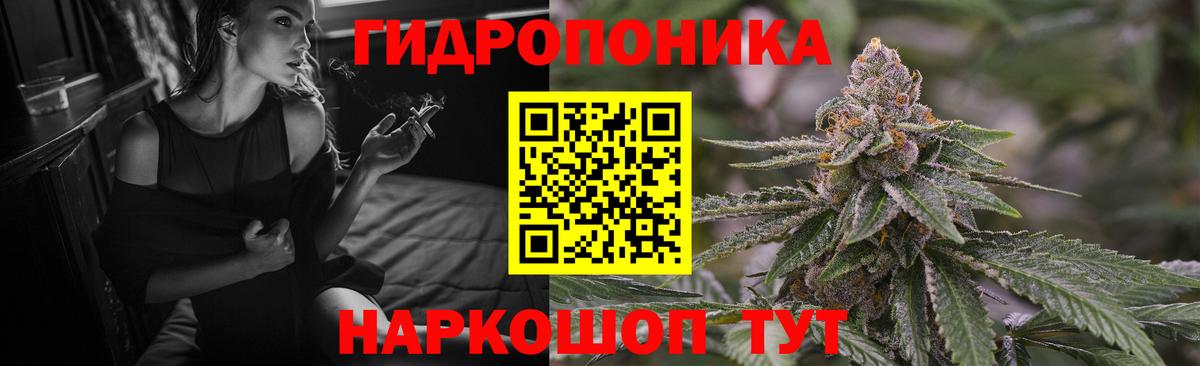 Бошки Шишки марихуана Нововоронеж